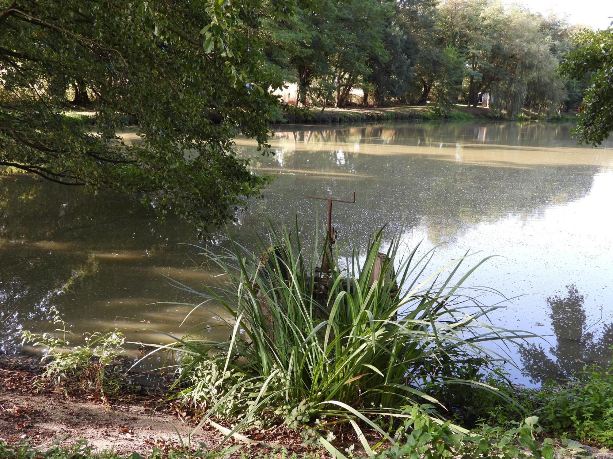 Le Hameau De La Closerie Flere-la-Riviere Luaran gambar